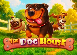 naza1688 The Dog House ทดลองเล่นฟรี
